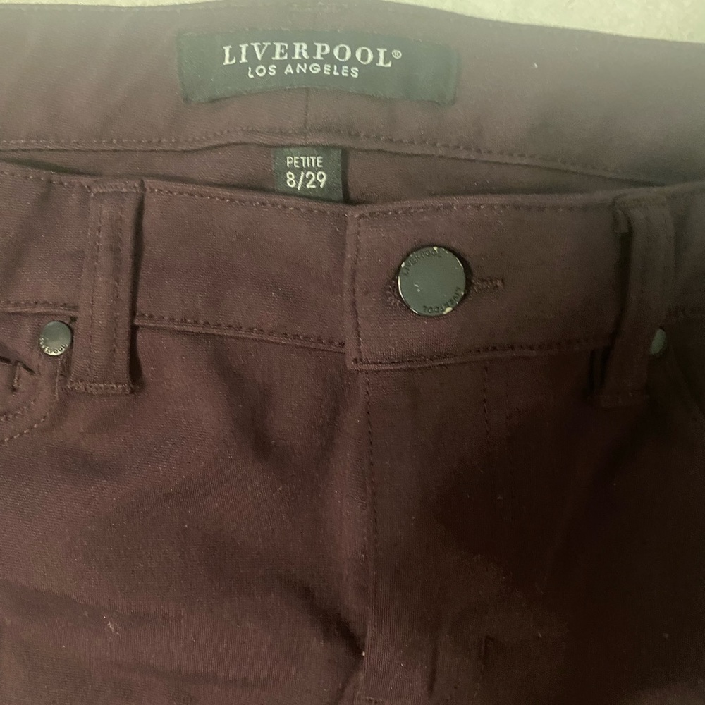 EUC- Liverpool Skinny Ankle Pant- Stitch Fix